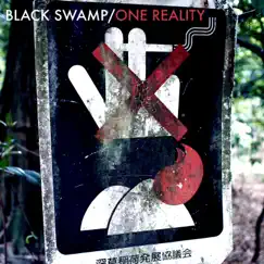 Black Swamp / One Reality - Single by How About This? album reviews, ratings, credits