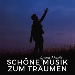 Schöne Musik zum Träumen und zur Guten Nacht, Nachdenken by Schlaflieder Relax album reviews, ratings, credits
