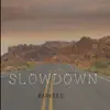 Slowdown - Single album lyrics, reviews, download