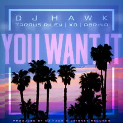 You Want It (feat. Tarrus Riley, DJ X.O. & Abrina) - Single by DJ Hawk album reviews, ratings, credits