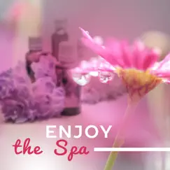 Enjoy the Spa: Beauty Tranquility Day Only for You by Tranquility Day Spa Music Zone album reviews, ratings, credits