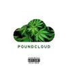 Poundcloud album lyrics, reviews, download