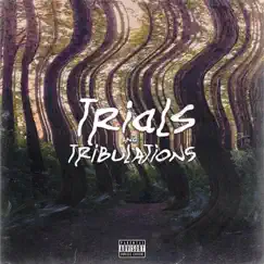 Trials and Tribulations by Clint Cash album reviews, ratings, credits