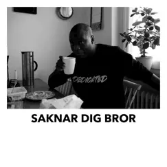 Saknar dig bror - Single by Emanuel Ehlin album reviews, ratings, credits