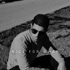 Nice for What - Single by Aamir album reviews, ratings, credits