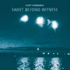 Sweet Beyond Witness album lyrics, reviews, download