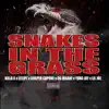 Snake in the Grass (feat. Eclipz, OG Insane, Lil Joe & Yung Jay) - Single album lyrics, reviews, download
