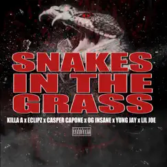 Snake in the Grass (feat. Eclipz, OG Insane, Lil Joe & Yung Jay) - Single by Casper Capone & Killa A album reviews, ratings, credits