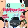 Ronko Porque Puedo (feat. Mike Towers) song lyrics
