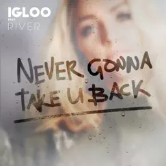 Never Gonna Take U Back (feat. River) - Single by Igloo album reviews, ratings, credits