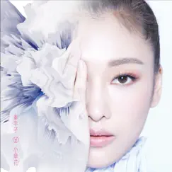 小傘花 - Single by UZ Qin album reviews, ratings, credits
