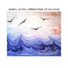 Springtime of Sultans - Single album lyrics, reviews, download