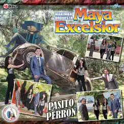Pasito Perron. Música de Guatemala para los Latinos by Marimba Orquesta Maya Excelsior album reviews, ratings, credits