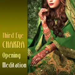Third Eye Chakra Opening Meditation: Balancing Music by Various Artists album reviews, ratings, credits