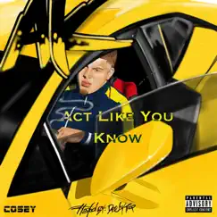 Act Like You Know by A.K album reviews, ratings, credits