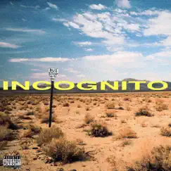 Incognito Song Lyrics