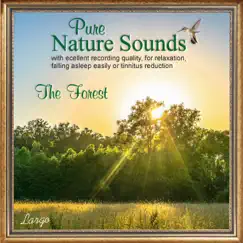 Pure Nature Sounds: The Forest by Largo album reviews, ratings, credits