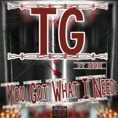 You Got What I Need (feat. QDB) - Single by TG album reviews, ratings, credits