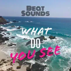 What Do You See (Extended Mix) Song Lyrics