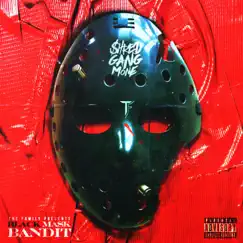 Black Mask Bandit by Shredgang Mone album reviews, ratings, credits