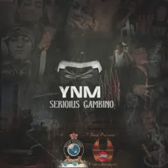 Young N Mature 4 by Serious Gambino album reviews, ratings, credits