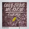 Only Thing We Know (Club Mix) song lyrics