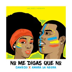 No Me Digas Que No - Single by Zawezo & Amara La Negra album reviews, ratings, credits