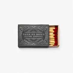 Burn Me Down - Single by Sophie Simmons album reviews, ratings, credits