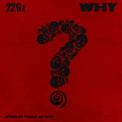 Why - Single by 22Gz album reviews, ratings, credits