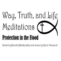 Way, Truth, And Life Meditations: Protection in the Flood by Brenda Blankenship album reviews, ratings, credits