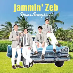 Your Songs (Volume 2) by Jammin' Zeb album reviews, ratings, credits