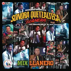 Mix Llanero No. 19. Música de Guatemala para los Latinos by Marimba Orquesta Sonora Quetzalteca album reviews, ratings, credits