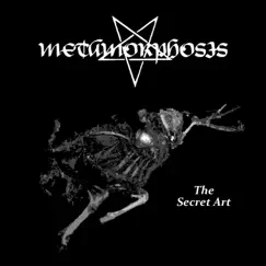 The Secret Art by Metamorphosis album reviews, ratings, credits