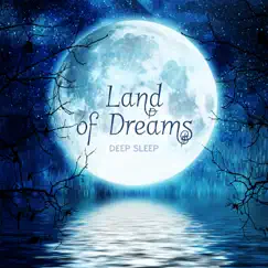 Land of Dreams – Deep Sleep, Relaxation, Peaceful Music, Cure Insomnia, Calm Sounds, REM Cycle, Sweet Dreams, Nightmares Free by Soothing Dreams Land album reviews, ratings, credits