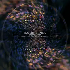 Interpolation - Single by Robert R. Hardy album reviews, ratings, credits