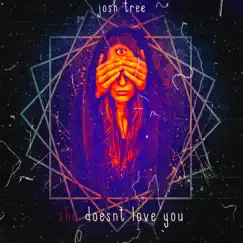 She Doesnt Love You by Josh Tree album reviews, ratings, credits