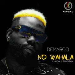 No Wahala (feat. Akon & Runtown) Song Lyrics