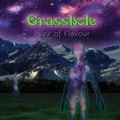 Fuzz of Flavour by Grasshole album reviews, ratings, credits