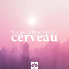 Musique relaxante pour le cerveau by Chloé Bouché & Adélie Demaret album reviews, ratings, credits