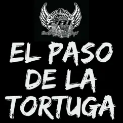 El Paso De La Tortuga - Single by Tejano Highway 281 album reviews, ratings, credits