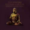 Buddha and the Chocolate Box album lyrics, reviews, download