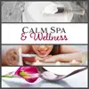 Calm Spa & Wellness: Therapy Music for Massage, Zen New Age for Deep Relaxation & Beauty Treatments, Rest for Body & Mind album lyrics, reviews, download