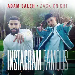 Instagram Famous (feat. Zack Knight) Song Lyrics