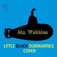 Little Black Submarines Song Lyrics
