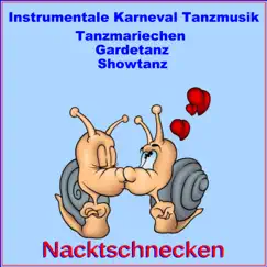 Instrumentale Karneval Tanzmusik, Tanzmariechen,Gardetanz,Showtanz (Samba, Pop, Rock and Roll, Polka) by Schmitti album reviews, ratings, credits