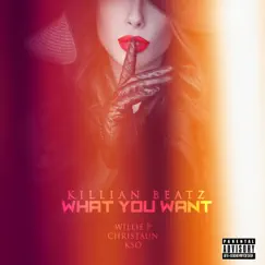 What You Want (feat. Willie P, Christaun & Kso) - Single by Killian Beatz album reviews, ratings, credits