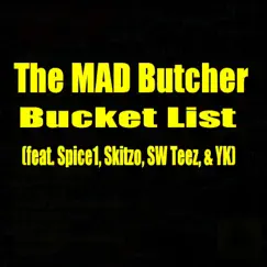 Bucket List (feat. Spice1, Skitzo, SW Teez & YK) Song Lyrics