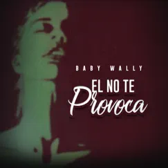 El No Te Provoca Song Lyrics