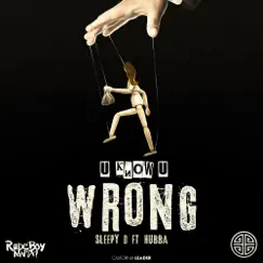U Know U Wrong (feat. Hubba) - Single by Sleepy D album reviews, ratings, credits