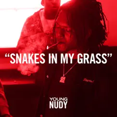 Snakes In My Grass - Single by Young Nudy album reviews, ratings, credits